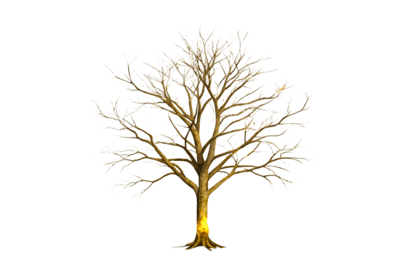 Dry Burnt Tree 3D Rendering PNG – Bold, Versatile Design Element